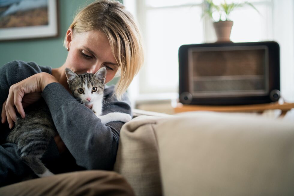 Western Skies Veterinary - In Home Pet Euthanasia | How to Help Your Furry Friend Overcome Stress